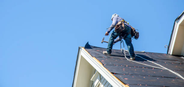 Best Roof Waterproofing Services  in Millville, DE